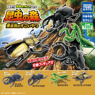 公式商品画像